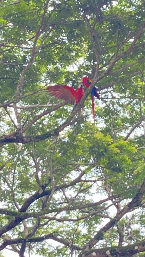 Las Plumas De Cabuya Cabuya  Exteriör bild