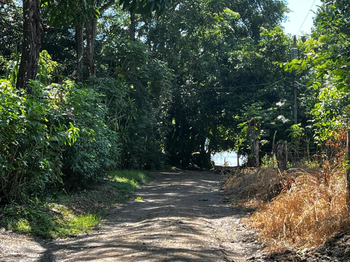 Las Plumas De Cabuya Cabuya  Exteriör bild