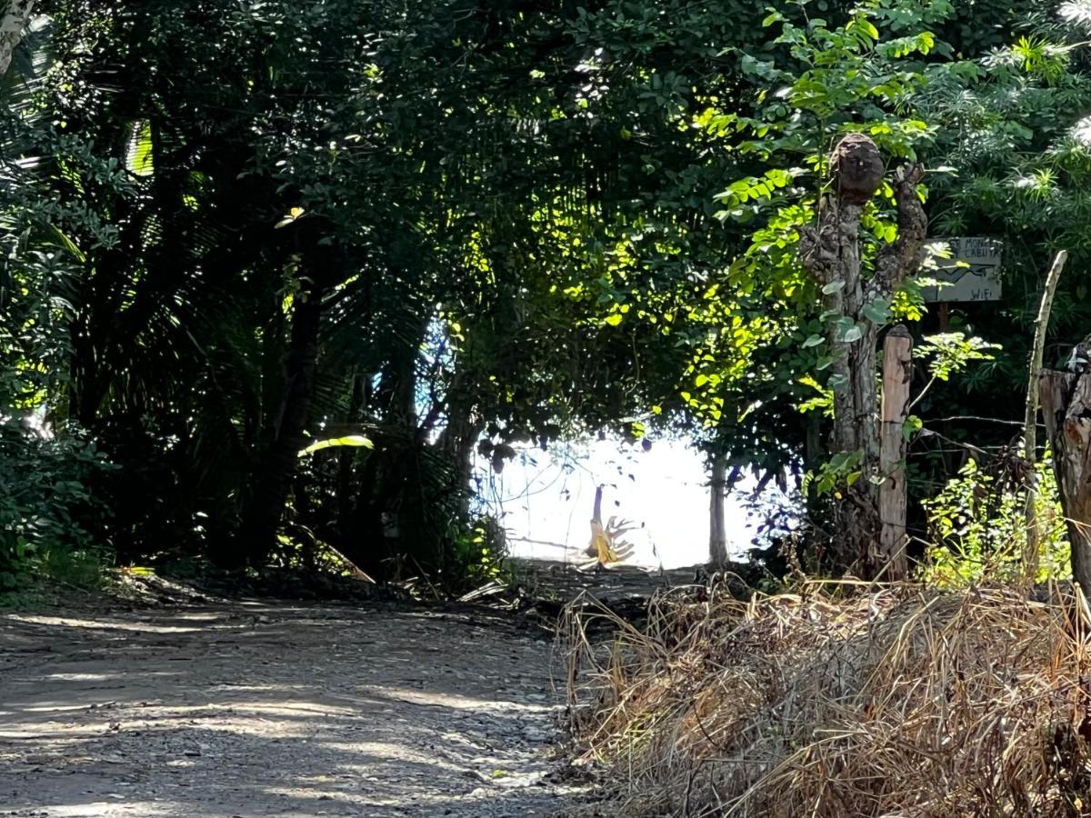 Las Plumas De Cabuya Cabuya  Exteriör bild